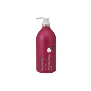 Dầu gội phục hồi tóc hư tổn Salon Link Amino hoa trà 1000ml