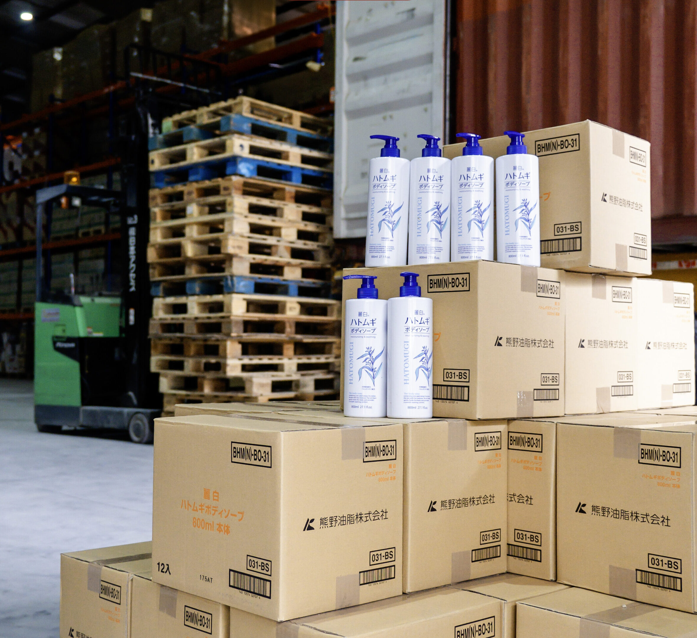 DSC01474 scaled e1772610256525